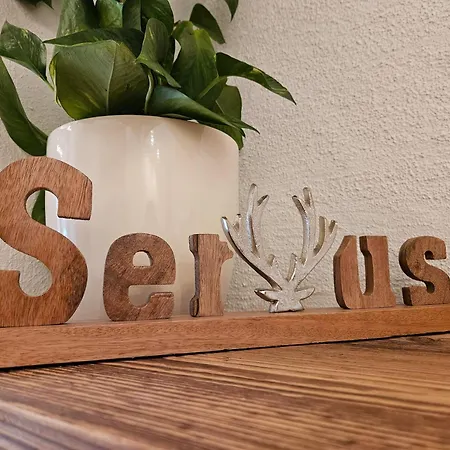 Rotache Apartamento *