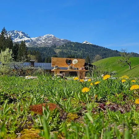 Apartment Rotache Fieberbrunn