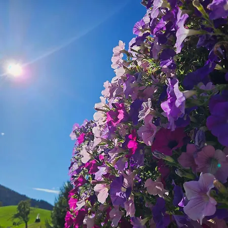 Rotache Apartman Fieberbrunn