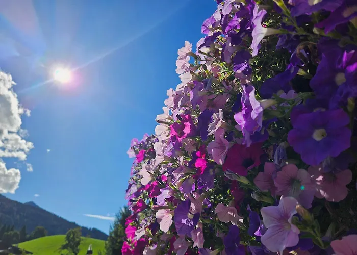 Rotache Apartman Fieberbrunn