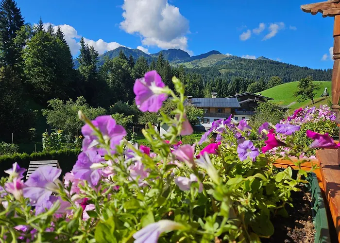 Rotache * Fieberbrunn