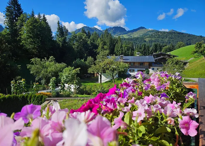 Rotache Appartement *