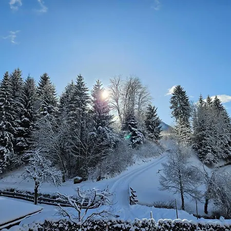 Διαμέρισμα Rotache