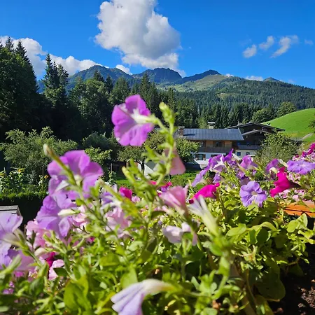 Rotache * Fieberbrunn
